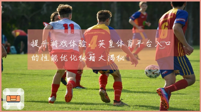 提升游戏体验，英皇体育平台入口的性能优化秘籍大揭秘